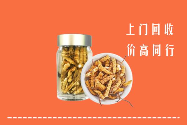 琼中回收冬虫夏草