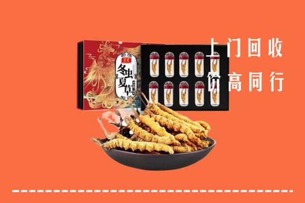 琼中回收虫草